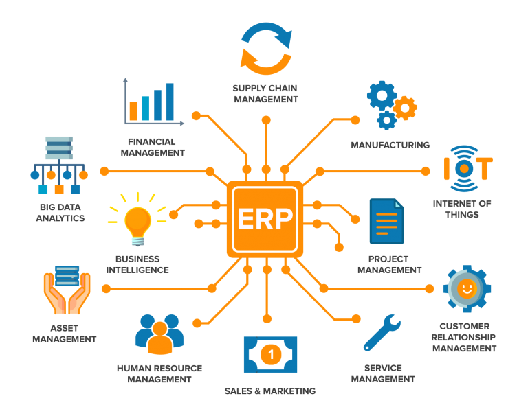 Stakeholders involved in curating an ERP solution