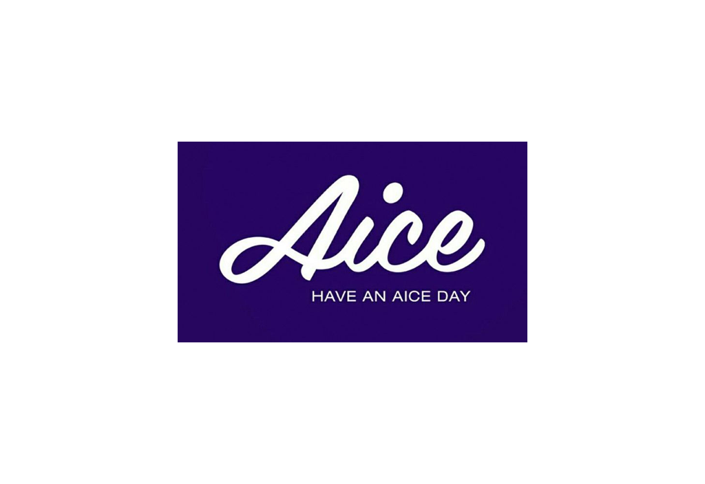 AICE Group Holdings – Case Study for Manufacturing & Wholesale Distribution